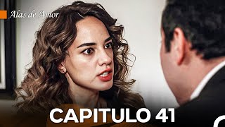 Alas de Amor Capitulo 41 Doblado En Español [upl. by Publea]