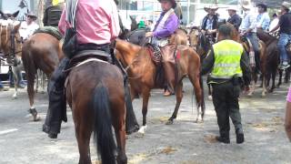 Cabalgata feria cali 2013 [upl. by Ecnahs502]