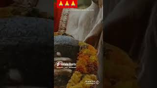 🕉️🕉️🔥Shiva ji Parvati mata ka sabse best status jarur dekhen🕉️🕉️🔥shorts mahadev status [upl. by Jaquenetta317]