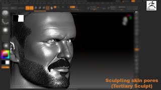 Sculpting Skin PoresTimelapse [upl. by Thorman54]