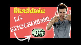 COURS DE BIOCHIMIE Structure mitochondrie [upl. by Heidie]