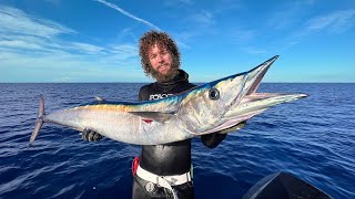 Spearfishing Wahoo Ono  Raw Uncut Footage [upl. by Tedder]