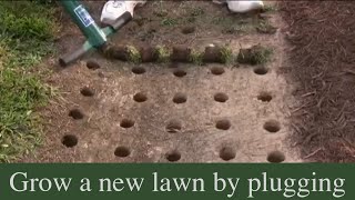 How to grow a new lawn by plugging [upl. by Silera633]