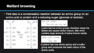 F46 Compare the two processes of nonenzymatic browning Maillard reaction and caramelization [upl. by Anyala545]