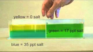 Ocean stratification demonstration salinity and temperature [upl. by Aremaj775]