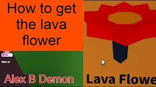 Where to find the lava flower Wacky WizardsRoblox [upl. by Muslim613]