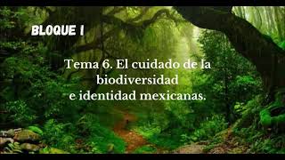 Bloque 1 Tema 6 El cuidado de la biodiversidad e identidad mexicanas [upl. by Hgielram]