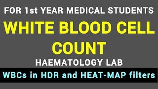 WHITE BLOOD CELL COUNT  HAEMATOLOGY LAB  BLOOD PHYSIOLOGY PRACTICAL [upl. by Nathanil649]