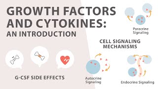 Cell Signaling Introduction to Growth factors and Cytokines [upl. by Aciretehs]