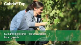 Cabrio® Top– vrhunski fungicide za zaštitu vinove loze [upl. by Intosh]