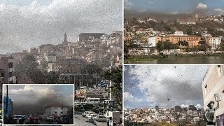 Billions of locusts invade Madagascar capital [upl. by Annaitsirhc]