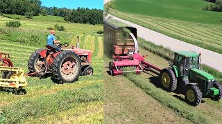 Chopping Hay on a Small Dairy Farm l Day Two of Third Crop Alfalfa [upl. by Erlond]