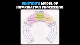 Business Process Modeling with BPMN [upl. by Ecinuahs]