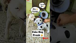 Fake Dog Prank 😱  466 [upl. by Nahrut156]