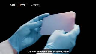 SunPower Maxeon panelen nummer 1 in betrouwbaarheid [upl. by Durwyn]