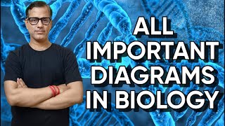 All Important Diagrams of Biology  Diagram Based Questions  ICSE Class 10  sirtarunrupani [upl. by Moffit902]