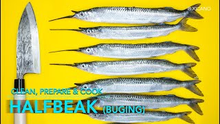 HALFBEAK FISH Buging  Clean Fillet amp Cook [upl. by Costanza774]