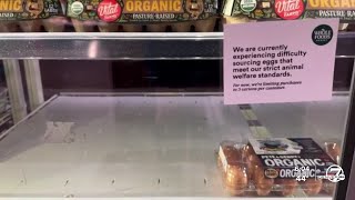 Noticed empty egg shelves in Colorado grocery stores Youre not alone [upl. by Esidarap919]