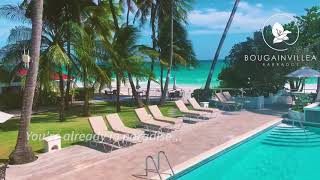 Paradisaical Staycations at Bougainvillea Barbados [upl. by Oremoh568]