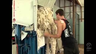 AWI Wool Handling  Pressing [upl. by Ais]