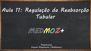 Aula 11 Regulação da Reabsorção e Secreção Tubular Fisiologia Renal [upl. by Ahsiemak]