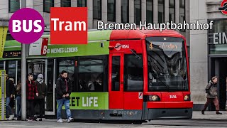 BusTram  Bremen Hbf🇩🇪  Spotting  BSAG  Oktober 2024 [upl. by Wahl893]