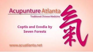 TCM Spotlight Seven Forests Coptis and Evodia [upl. by Golliner9]