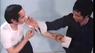 Wing Chun Basic Techniques part 1 [upl. by Akem1]