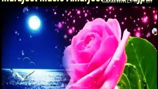 Ek Chanchal Sokh Hasina mere Sapno Ayer hindi song [upl. by Ruyam]