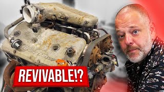 Restoring a Legend Alfa Romeo Busso V6 Restoration Part 1 [upl. by Tennes]