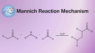 Mannich Reaction Mechanism  Organic Chemistry [upl. by Asaph18]