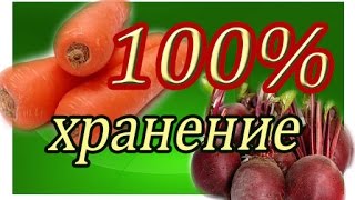 ХРАНЕНИЕ МОРКОВИ И СВЕКЛЫ 100 [upl. by Auqenahc]