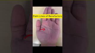 Palm Lines of Benefactors Palmistry PalmReading [upl. by Peckham]