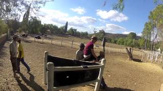 Oudtshoorn Ostrich Riding 2012 POV [upl. by Waters]