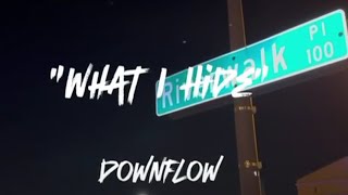 DownFlow  What I Hide Official Music Video [upl. by Mharg]