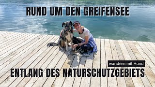 Rund um denn Greifensee  Entlang des Naturschutzgebiets  leichte Wanderung mit Hund  VLog [upl. by Gussy]