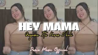 DJ HEY MAMA  VIRAL TIKTOK 2024  Dunia Music Official [upl. by Yolane679]