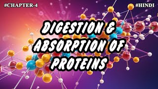 Chapter4  Digestion amp Absorption Of Proteins  Introduction Digestion Absorption Part6 Hindi [upl. by Dirk]