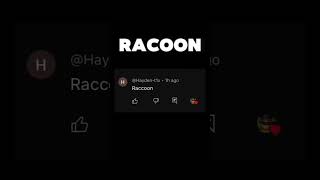 Racoon edit animals comment racoons [upl. by Edmanda]