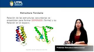 UTPL PROTEÍNAS ESTRUCTURA TRIDIMENSIONAL GESTIÓN AMBIENTALBIOQUÍMICA [upl. by Tolland]