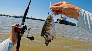 4 Hours of RAW and UNCUT Kayak Catfishing on the Mississippi River [upl. by Khorma]