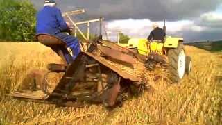 CUTTING AND THRESHING CORN POYNTZPASS 2013 [upl. by Yelir]