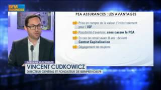 PEA Assurance  Comment ca marche  Avantages  Inconvénients du PEA Assurance [upl. by Luanne]