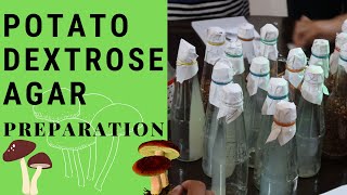 Mushroom Production Potato Dextrose Agar Preparation  PDA [upl. by Schuster]