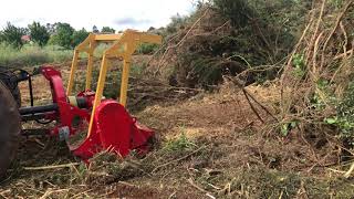 TRITURADORA forestal para tractores pequeños SEPPI m MINIFORST [upl. by Llenrad79]