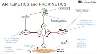 Antiemetics and Prokinetics [upl. by Huston195]