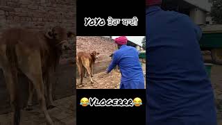 YoYo ਤੇਰਾ ਬਾਈ 😂😂 viral punjabientertainment comedyvideos punjabi funny viralcomedy [upl. by Obbard]