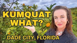 DADE CITY Florida  KUMQUAT FESTIVAL 🍊🍊🍊 [upl. by Etteinotna]