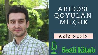 Abidəsi qoyulan milçək  Aziz Nesin SƏSLİ KİTAB 2 [upl. by Ettigdirb]