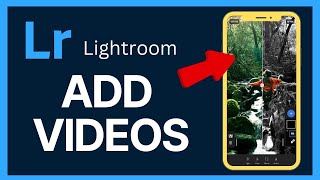 How to Add Videos in Lightroom 2024 [upl. by Kano]